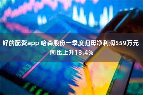 好的配资app 哈森股份一季度归母净利润559万元 同比上升13.4%