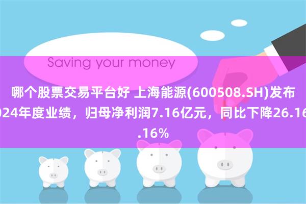 哪个股票交易平台好 上海能源(600508.SH)发布2024年度业绩，归母净利润7.16亿元，同比下降26.16%