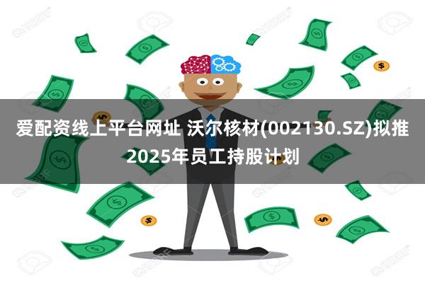 爱配资线上平台网址 沃尔核材(002130.SZ)拟推2025年员工持股计划