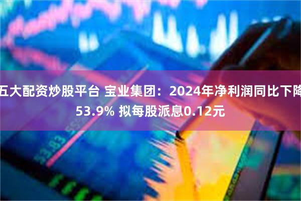 五大配资炒股平台 宝业集团：2024年净利润同比下降53.9% 拟每股派息0.12元