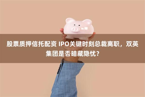 股票质押信托配资 IPO关键时刻总裁离职，双英集团是否暗藏隐忧？