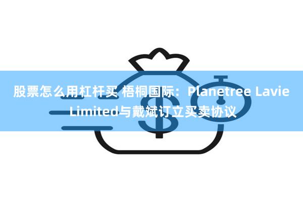 股票怎么用杠杆买 梧桐国际：Planetree Lavie Limited与戴斌订立买卖协议