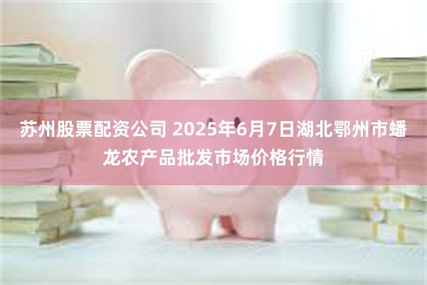苏州股票配资公司 2025年6月7日湖北鄂州市蟠龙农产品批发市场价格行情