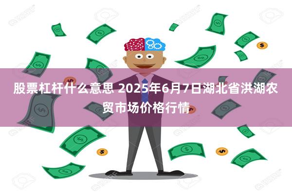 股票杠杆什么意思 2025年6月7日湖北省洪湖农贸市场价格行情