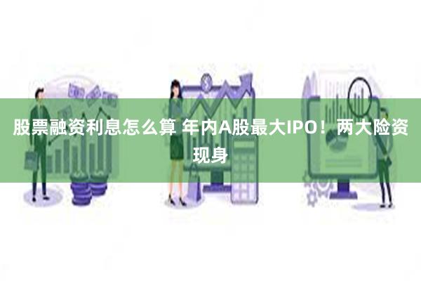 股票融资利息怎么算 年内A股最大IPO！两大险资现身