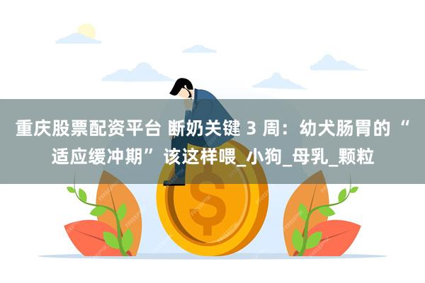 重庆股票配资平台 断奶关键 3 周：幼犬肠胃的 “适应缓冲期” 该这样喂_小狗_母乳_颗粒