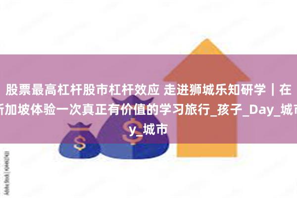 股票最高杠杆股市杠杆效应 走进狮城乐知研学｜在新加坡体验一次真正有价值的学习旅行_孩子_Day_城市
