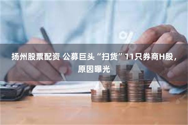 扬州股票配资 公募巨头“扫货”11只券商H股，原因曝光