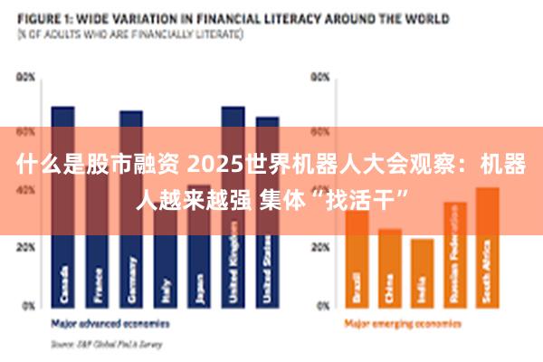 什么是股市融资 2025世界机器人大会观察：机器人越来越强 集体“找活干”